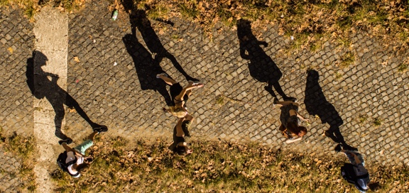 Top view of people walking on pathway