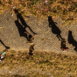 Top view of people walking on pathway